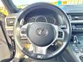 Lexus CT 200h F-Sport Executive Luxury Line Grey - thumbnail 18