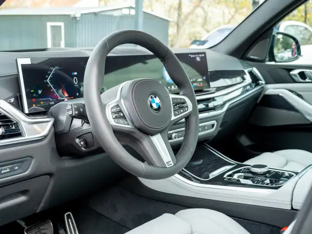 BMW X5 X5 view 12