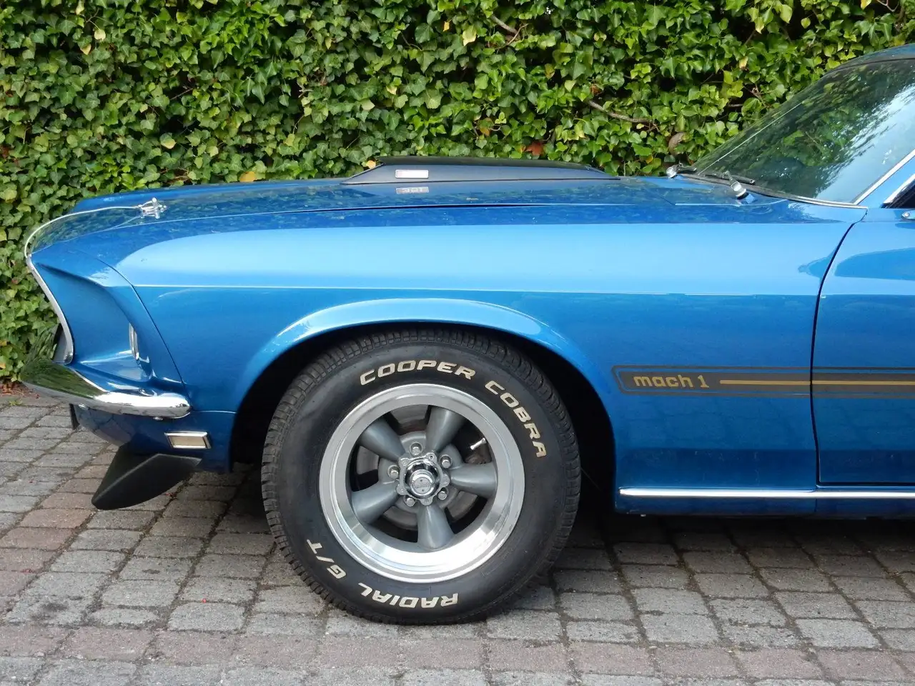 Ford Mustang Fastback Mach 1, foto 12
