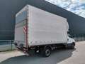 Iveco Daily 3.0L Motor Ladebordwand NETTO € 22.000,- Weiß - thumbnail 2