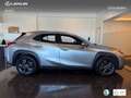 Lexus UX 250h Business 2WD Silber - thumbnail 3