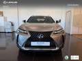 Lexus UX 250h Business 2WD Silber - thumbnail 4