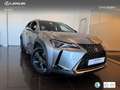 Lexus UX 250h Business 2WD Silber - thumbnail 12