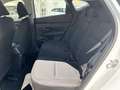 Hyundai TUCSON 1.6T 118kW (160CV) 48V Klass Blanco - thumbnail 16