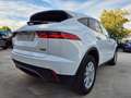 Jaguar E-Pace 2.0 D 150cv AUTO. // AWD // Blanc - thumbnail 10