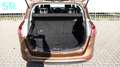 Ford B-Max 1.0 120 EcoBoost Titanium Brun - thumbnail 6