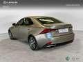Lexus IS 250 Sedán EXECUTIVE 2.5 Híbrido Gasolina (223 CV) Tr Gris - thumbnail 2