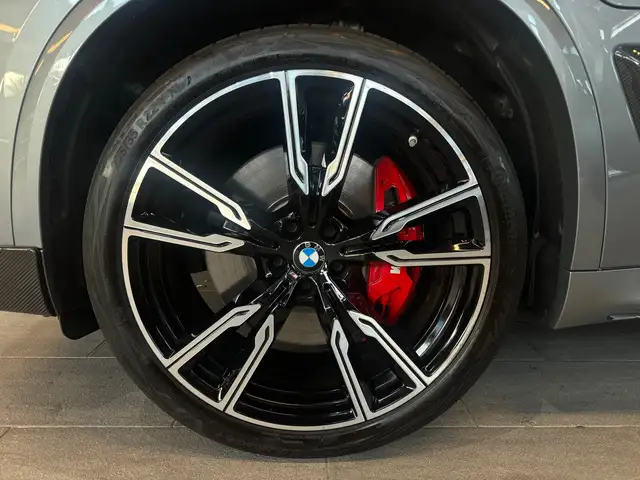 BMW X5 view 11