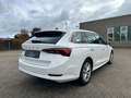 Skoda Octavia 2.0TDI DSG Combi Style AID*HUD*SIDE*AHK Weiß - thumbnail 5