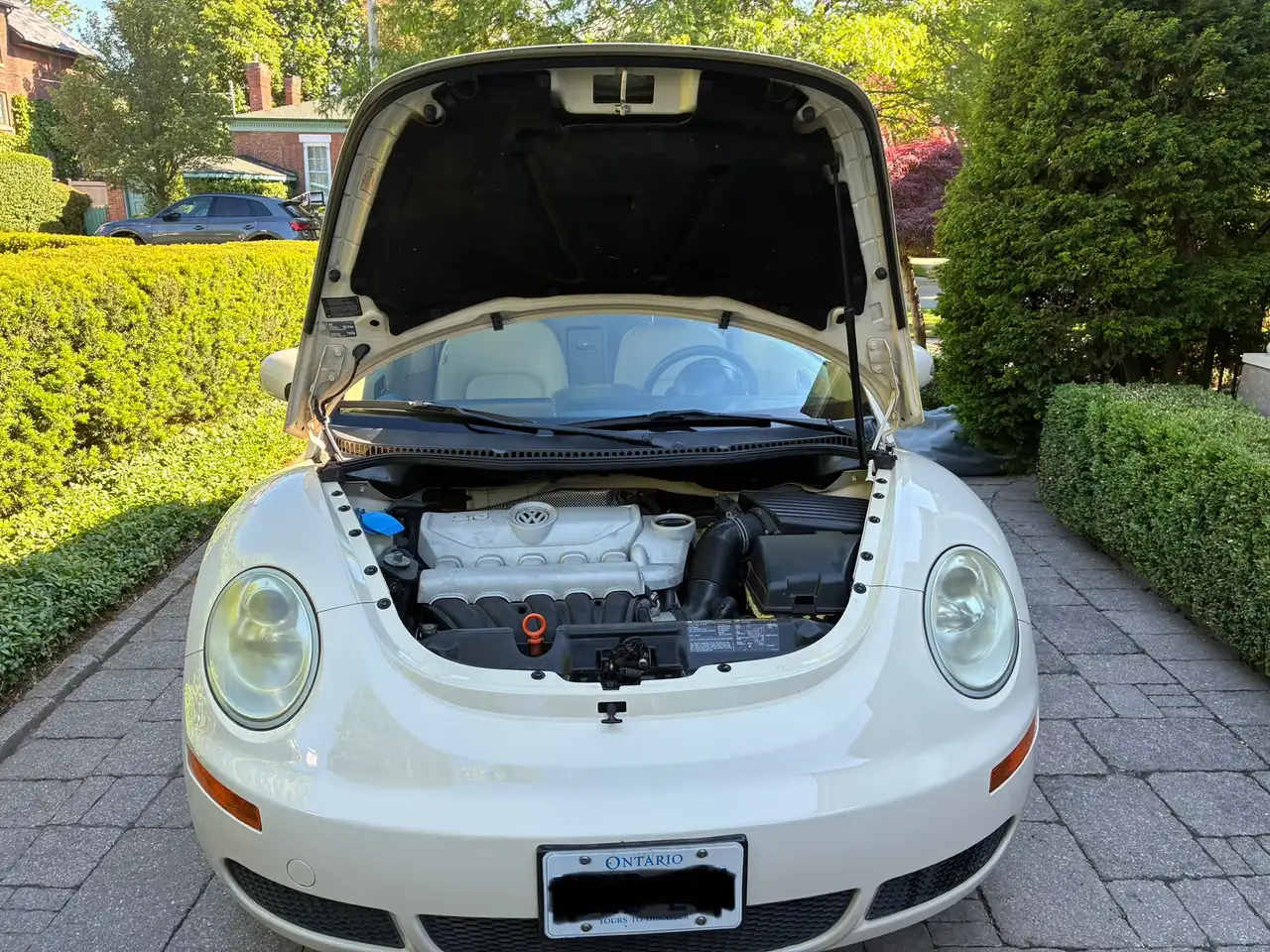 Volkswagen Beetle photo Volkswagen Beetle
