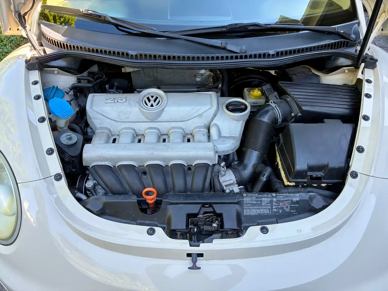 Volkswagen Beetle photo Volkswagen Beetle