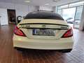 Mercedes-Benz CLS 63 AMG 4Matic *Navi*LED*H&K* Keyless-Go* Weiß - thumbnail 9