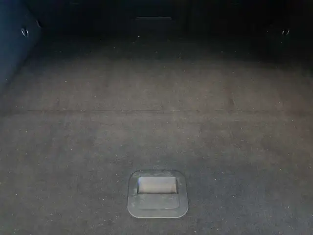 Ford Focus view 15