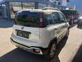 Fiat Panda Panda 4x4 1,3 Multijet II 80 4x4 Cross Cross Weiß - thumbnail 5