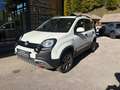 Fiat Panda Panda 4x4 1,3 Multijet II 80 4x4 Cross Cross Weiß - thumbnail 2
