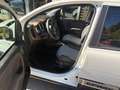 Fiat Panda Panda 4x4 1,3 Multijet II 80 4x4 Cross Cross Weiß - thumbnail 10
