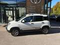Fiat Panda Panda 4x4 1,3 Multijet II 80 4x4 Cross Cross Weiß - thumbnail 1