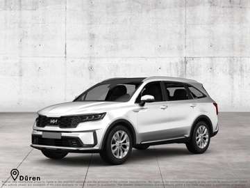 1.6T PLATINIUM 4WD Plug-In Hybrid (360KAMERA/HEAD