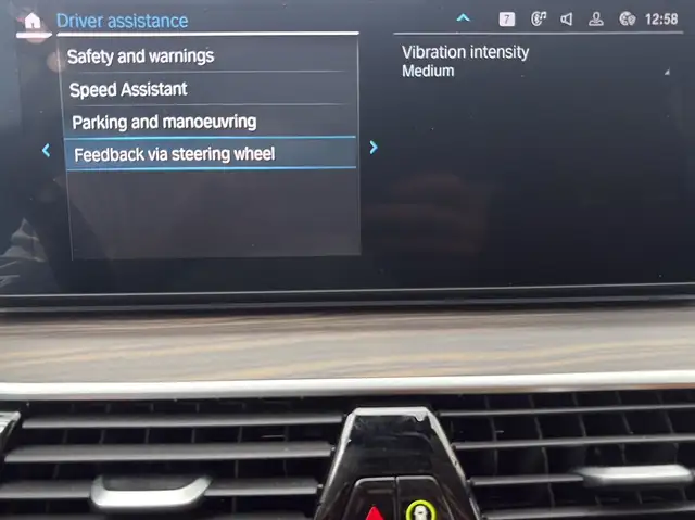 BMW 5 Series view 24