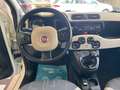 Fiat Panda Panda 1.3 MJT 95 CV S&S 4x4 Bianco - thumbnail 9