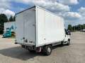 Peugeot Boxer Cassone Alluminio Bianco - thumbnail 13