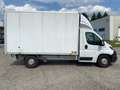 Peugeot Boxer Cassone Alluminio Bianco - thumbnail 14