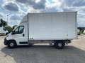 Peugeot Boxer Cassone Alluminio Bianco - thumbnail 9