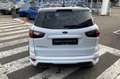 Ford EcoSport 1.0 EcoBoost ST-Line | Winterpack | Camera Blanc - thumbnail 9