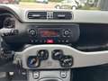 Fiat Panda 0.9 TwinAir Ed. Cool AIRCO! Nette staat! Blanc - thumbnail 9