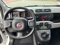 Fiat Panda 0.9 TwinAir Ed. Cool AIRCO! Nette staat! Blanc - thumbnail 7
