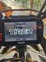 Triumph Tiger 900 Rally Pro Verde - thumbnail 11