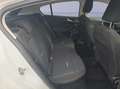 Ford Focus 1.0 EcoBoost Hybrid 125 CV Powershift 5p. Active X Weiß - thumbnail 18