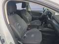 Ford Focus 1.0 EcoBoost Hybrid 125 CV Powershift 5p. Active X Weiß - thumbnail 20