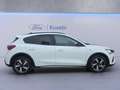 Ford Focus 1.0 EcoBoost Hybrid 125 CV Powershift 5p. Active X Weiß - thumbnail 8