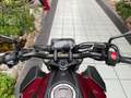 Honda CB125R ABS Rot - thumbnail 5