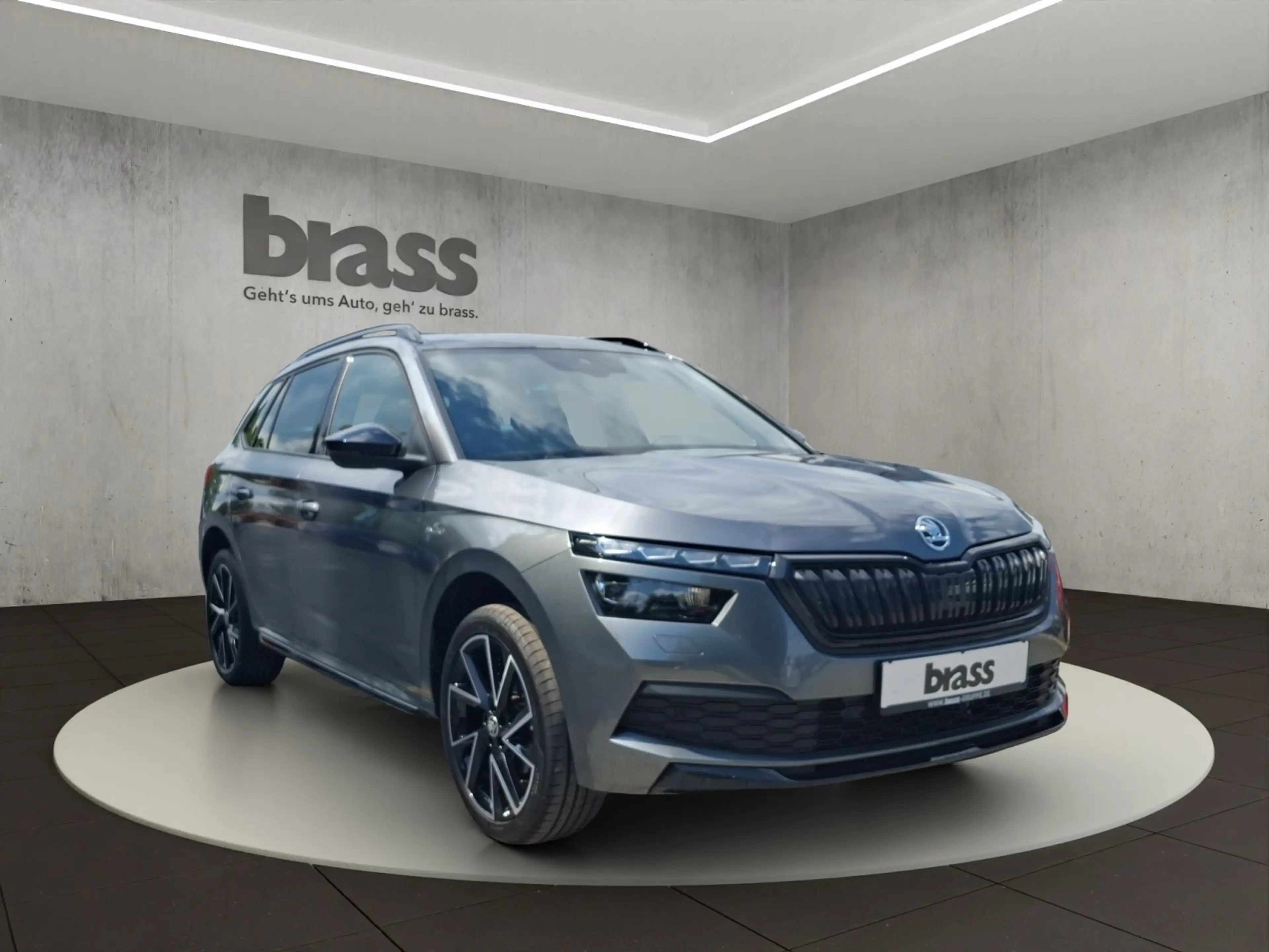 Skoda Kamiq Monte Carlo — photo 7