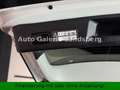 Mercedes-Benz GLE 250 GLE250d 4M.*AMG Line*9-G Tronic*LED*Leder*20Zoll Weiß - thumbnail 12