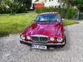 Jaguar Daimler Double-Six Czerwony - thumbnail 3
