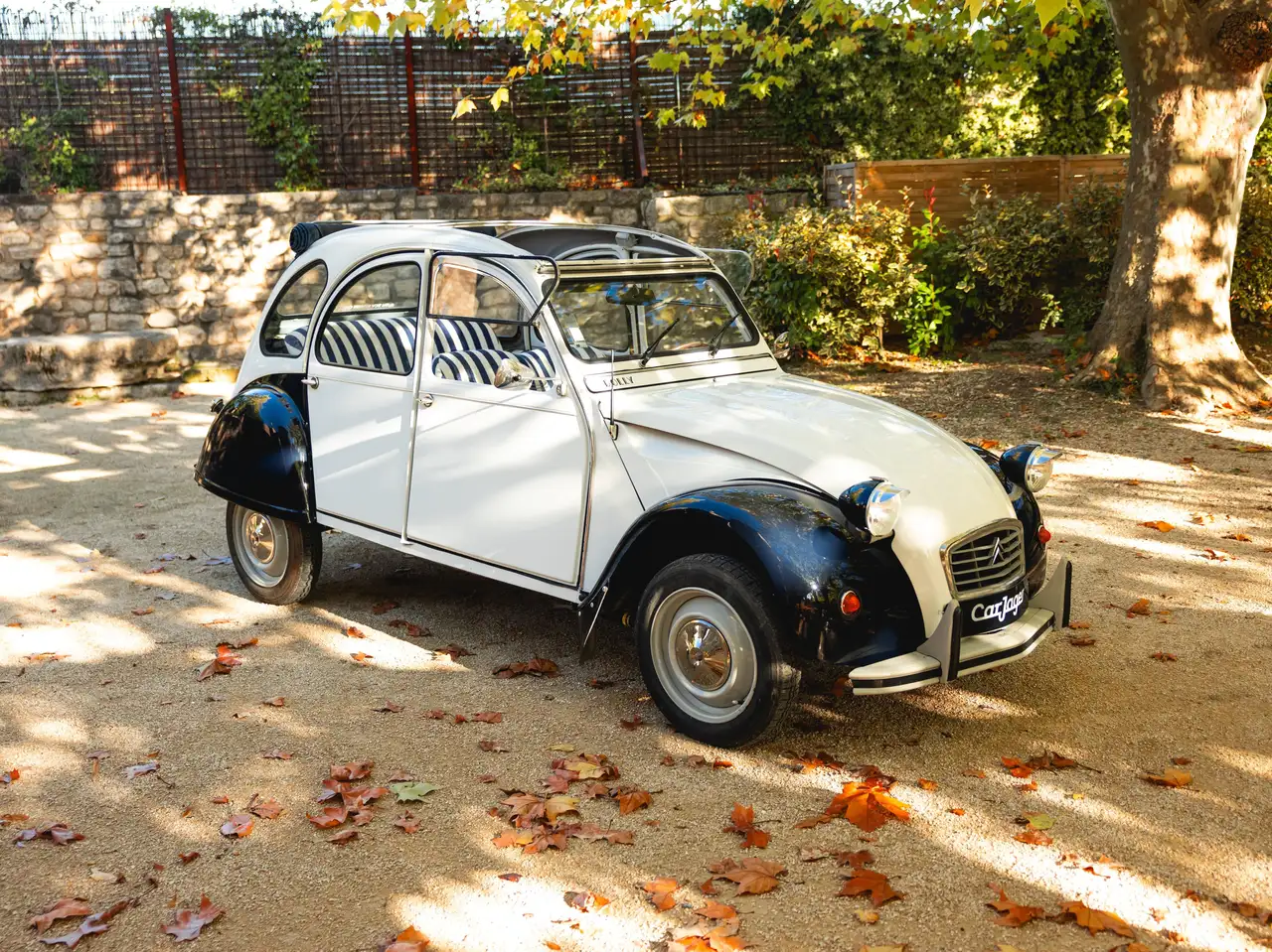 Citroen 2CV Special