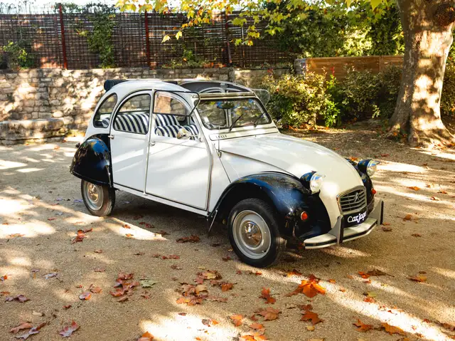 Citroen 2CV Special