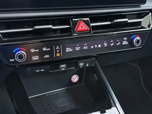 Kia e-Niro view 21