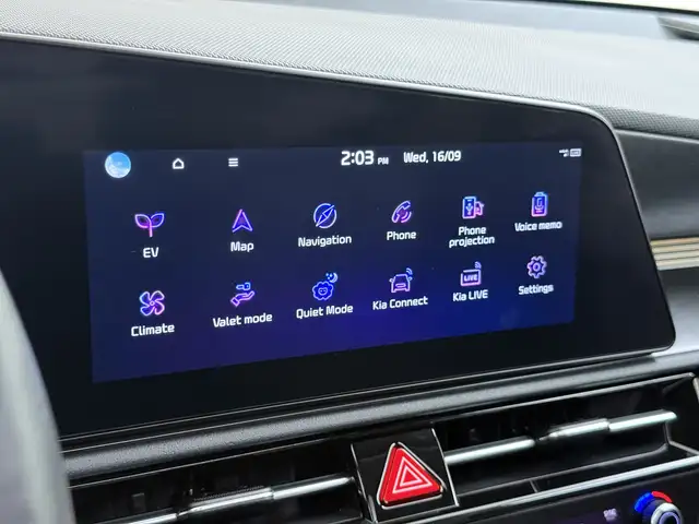 Kia e-Niro view 18