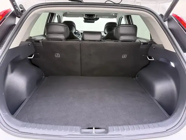 Kia e-Niro view 26