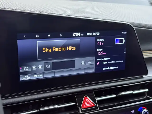 Kia e-Niro view 20
