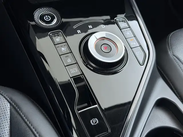 Kia e-Niro view 22