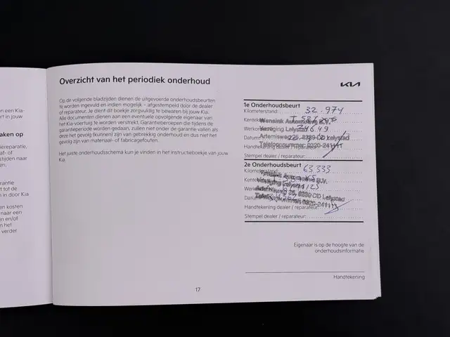 Kia e-Niro view 25