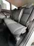 Ford Kuga 1.5 EcoBoost 110kW 4x2 STLine Grau - thumbnail 11