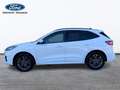 Ford Kuga ST-Line X 2.5 Duratec PHEV 165kW Auto Blanc - thumbnail 5