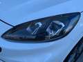 Ford Kuga ST-Line X 2.5 Duratec PHEV 165kW Auto Blanco - thumbnail 18