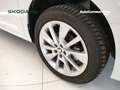 Skoda Kamiq 1.0 TSI Ambition Bianco - thumbnail 8